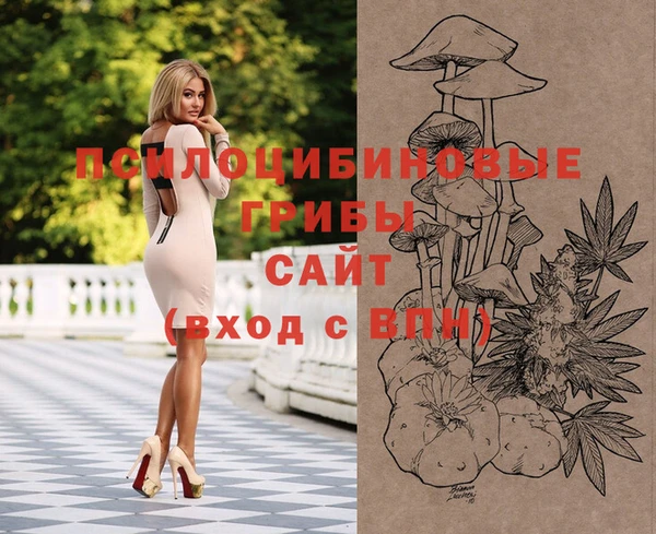 ешки Няндома