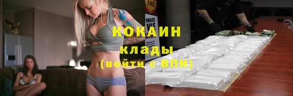 ешки Няндома