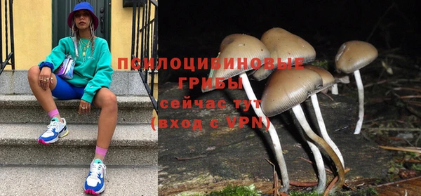 ешки Няндома