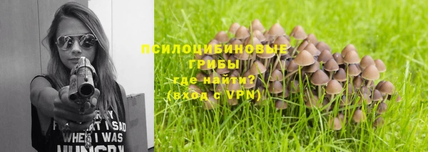 ешки Няндома