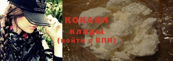 ешки Няндома