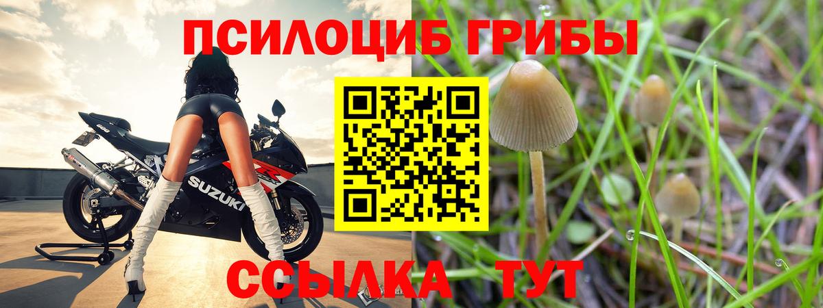 где купить   Галлюциногенные грибы Psilocybe  Кувандык  Вход с VPN  Псилоцибиновые грибы MAGIC MUSHROOMS 