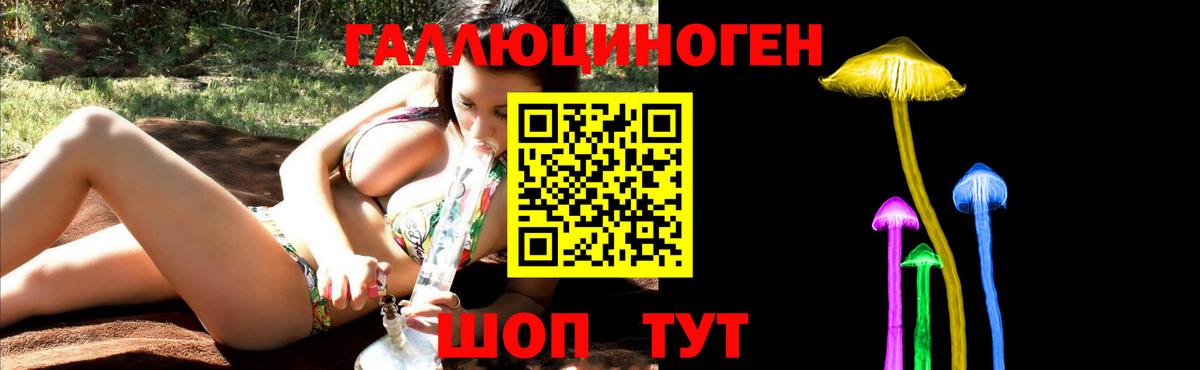 хочу наркоту  Псилоцибиновые грибы Cubensis  Кувандык  Псилоцибиновые грибы GOLDEN TEACHER 