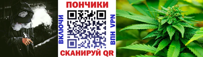 Бошки Шишки SATIVA & INDICA  OMG онион  Кувандык  наркота 